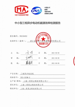 電機(jī)能效報告YE3-355M-2